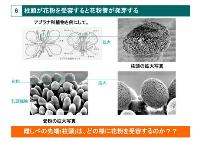 第１学年講演会