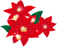 ポインセチア　イラスト