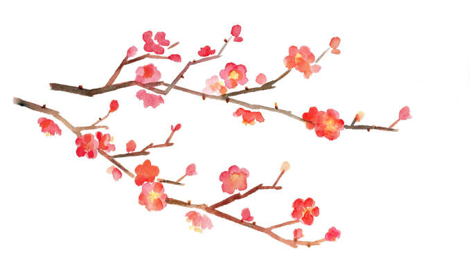 梅 イラスト 梅 イラスト