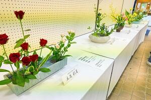 展示の花