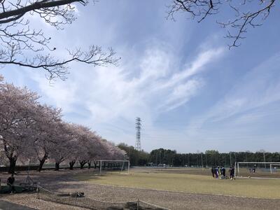 校庭南側から野球場を臨む 校庭南側から野球場を臨む