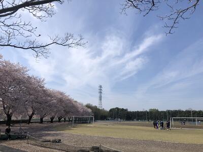 校庭南側から野球場を臨む