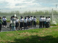 圃場見学