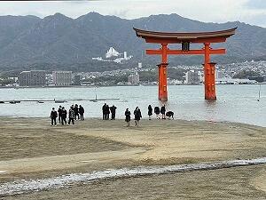 修学旅行