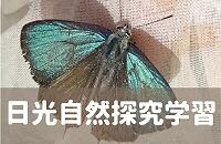 日光自然探究学習