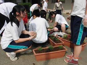 植え込みの様子１