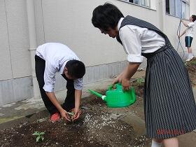 植え込みの様子２