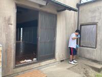 きれいになりました