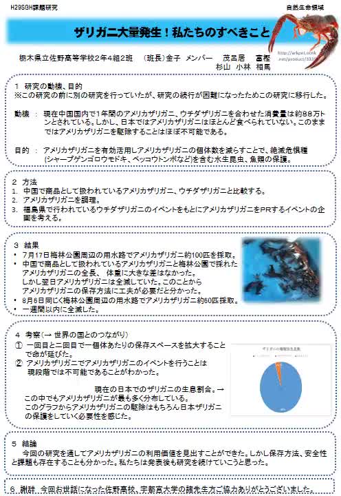 ４組２班　ザリガニ大量発生