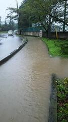 永野川緑地公園付近道路②