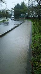 永野川緑地公園付近道路④