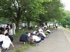 除草作業② 除草作業②