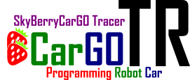 CarGO-TRロゴマーク