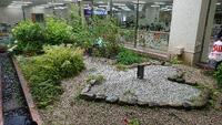 管理作業前の庭園