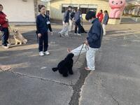 トレーナー