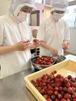 ジャム原料下処理