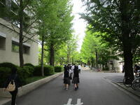 大学内見学