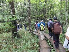 camp1