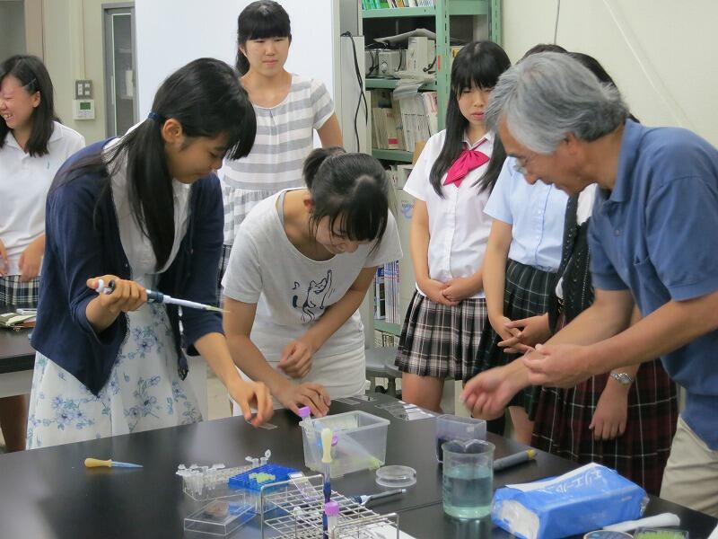 大学実験講座3