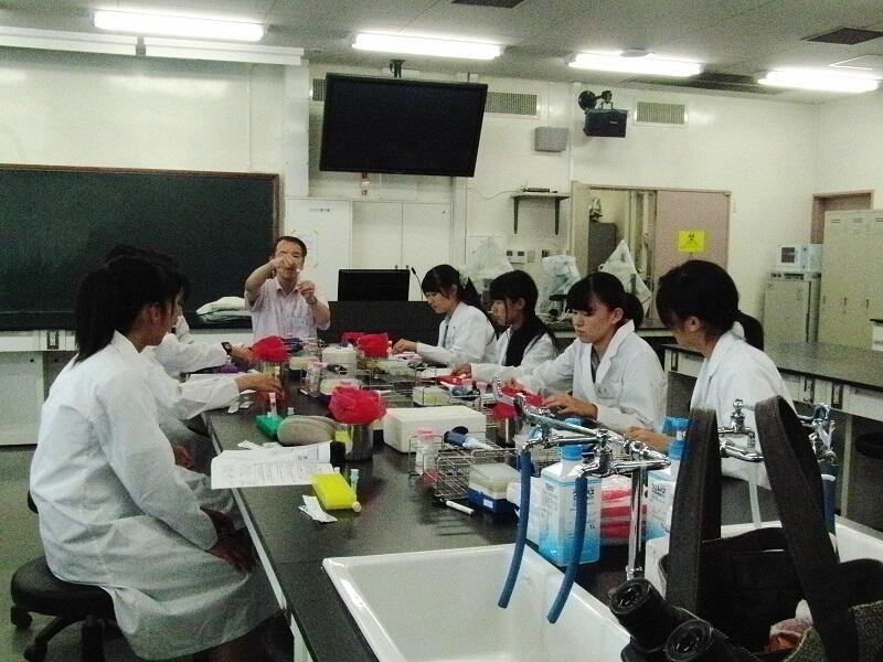 ウィルス学体験講座2