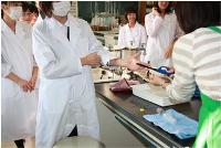 中学生のための科学実験教室　生物