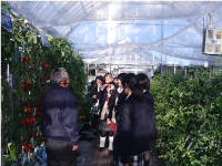 企業見学会　カゴメ那須工場
